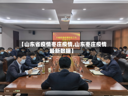 【山东省疫情枣庄疫情,山东枣庄疫情最新数据】