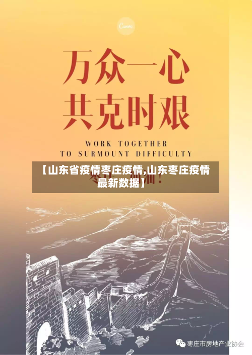 【山东省疫情枣庄疫情,山东枣庄疫情最新数据】-第2张图片