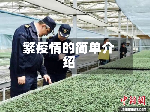 繁疫情的简单介绍-第3张图片