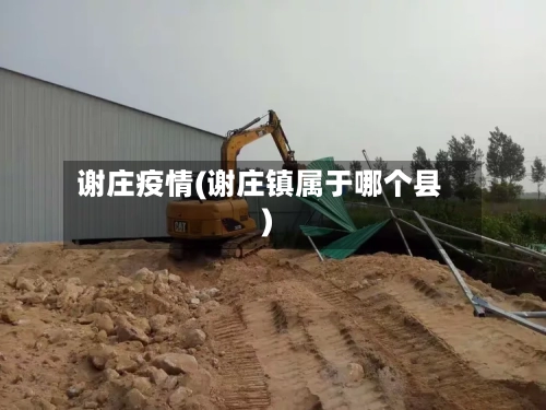 谢庄疫情(谢庄镇属于哪个县)
