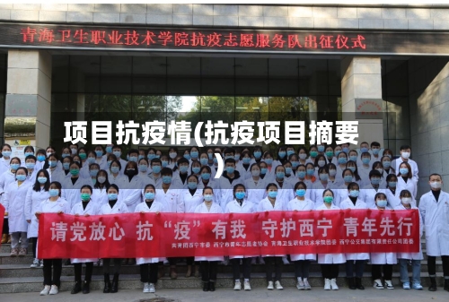 项目抗疫情(抗疫项目摘要)