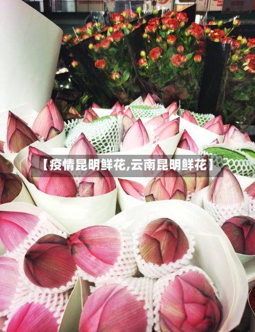 【疫情昆明鲜花,云南昆明鲜花】