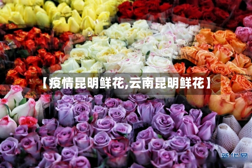 【疫情昆明鲜花,云南昆明鲜花】-第2张图片
