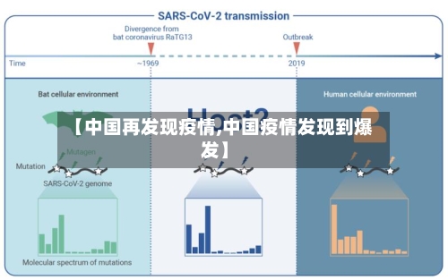 【中国再发现疫情,中国疫情发现到爆发】