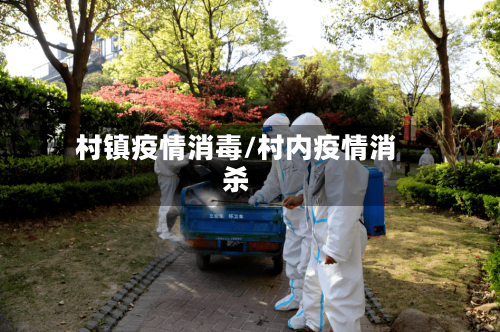 村镇疫情消毒/村内疫情消杀