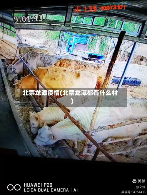 北票龙潭疫情(北票龙潭都有什么村)