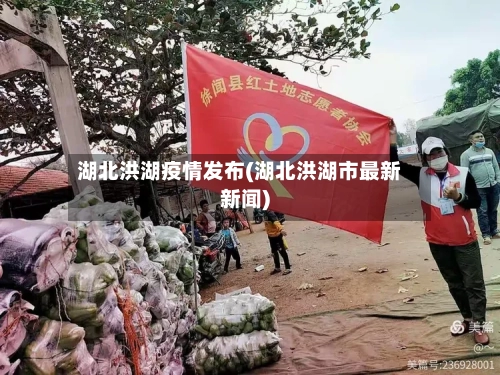 湖北洪湖疫情发布(湖北洪湖市最新新闻)-第2张图片