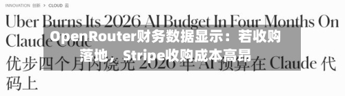 OpenRouter财务数据显示：若收购落地，Stripe收购成本高昂-第2张图片