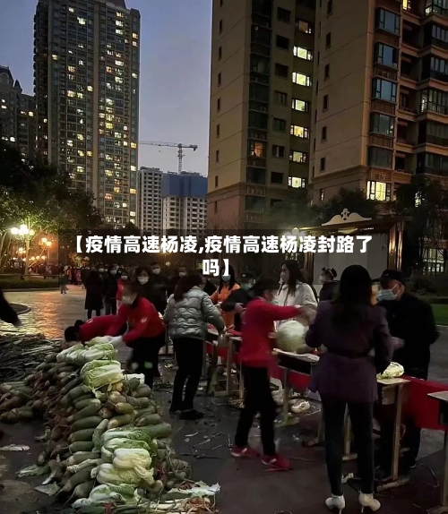【疫情高速杨凌,疫情高速杨凌封路了吗】-第3张图片