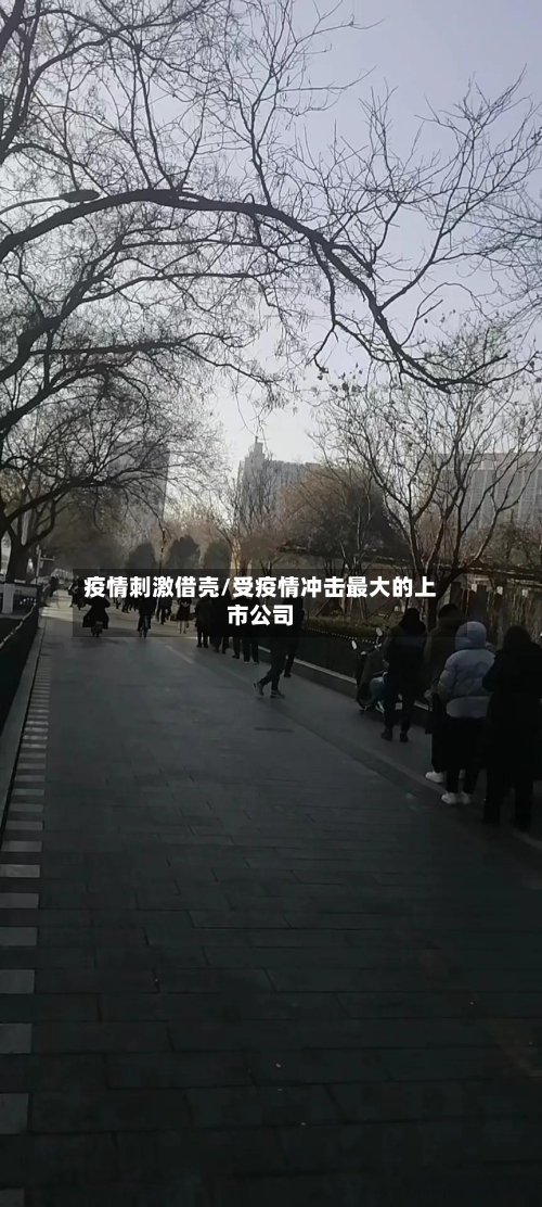 疫情刺激借壳/受疫情冲击最大的上市公司-第2张图片