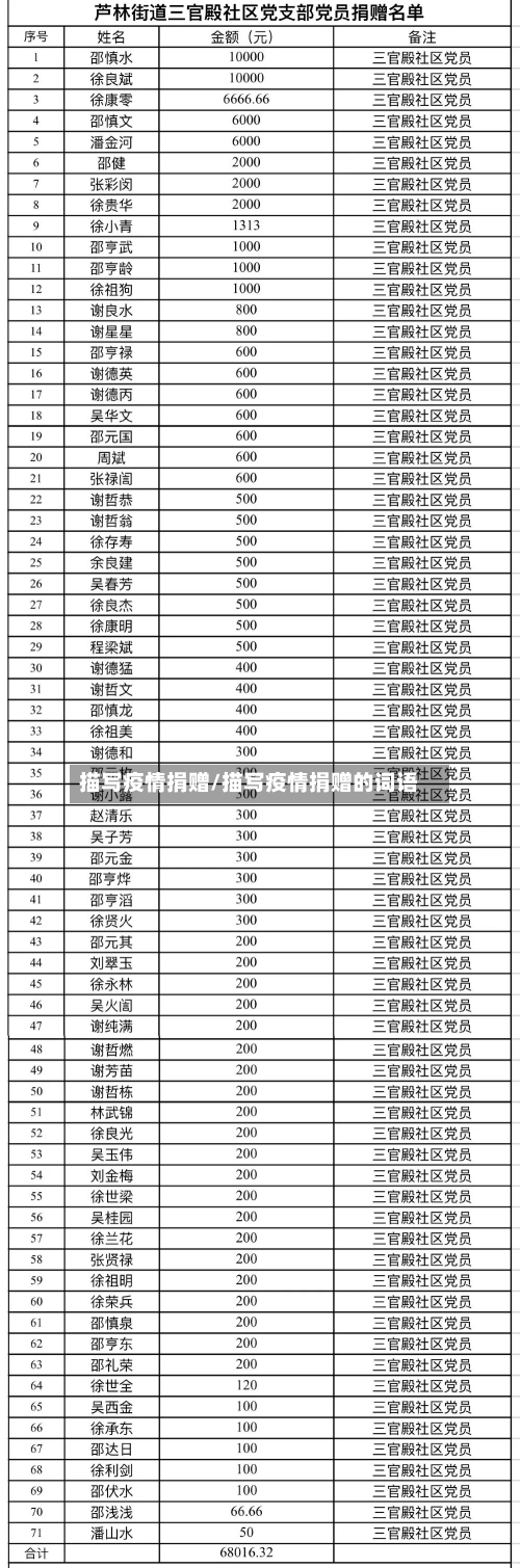 描写疫情捐赠/描写疫情捐赠的词语-第3张图片