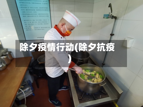 除夕疫情行动(除夕抗疫)-第3张图片