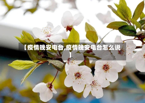 【疫情晚安电台,疫情晚安电台怎么说】-第3张图片