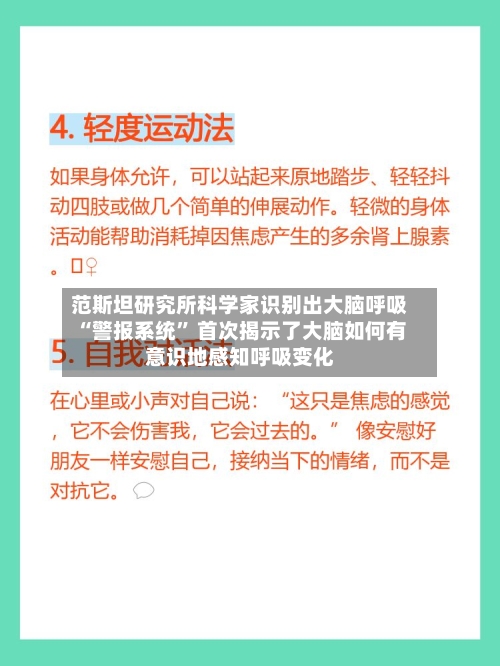 范斯坦研究所科学家识别出大脑呼吸“警报系统” 首次揭示了大脑如何有意识地感知呼吸变化-第2张图片