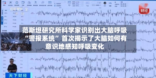 范斯坦研究所科学家识别出大脑呼吸“警报系统” 首次揭示了大脑如何有意识地感知呼吸变化