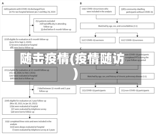 随击疫情(疫情随访)-第3张图片
