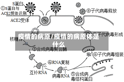 疫情的病原/疫情的病原体是什么-第2张图片