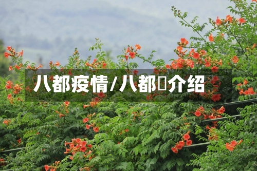 八都疫情/八都岕介绍