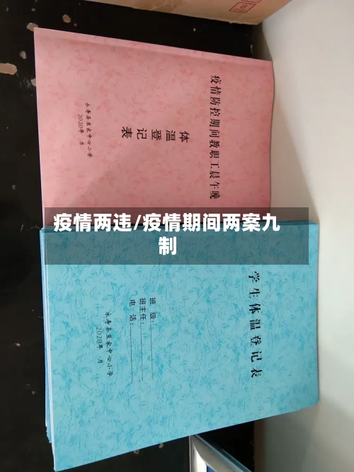 疫情两违/疫情期间两案九制-第2张图片