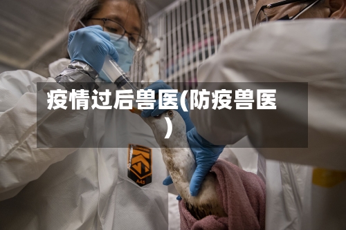 疫情过后兽医(防疫兽医)
