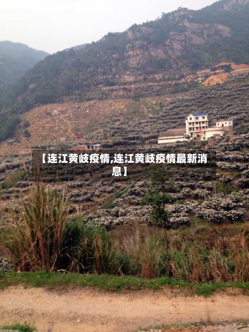 【连江黄岐疫情,连江黄岐疫情最新消息】-第2张图片