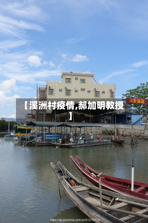 【溪洲村疫情,郝加明教授】