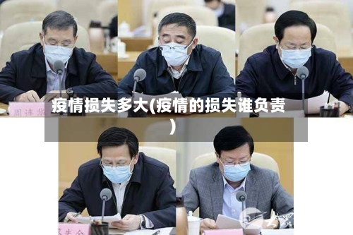 疫情损失多大(疫情的损失谁负责)-第2张图片