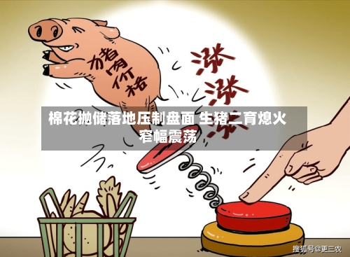 棉花抛储落地压制盘面 生猪二育熄火窄幅震荡