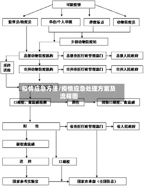 疫情应急方法/疫情应急处理方案及流程图-第2张图片