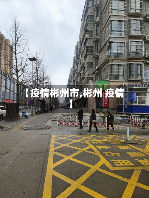 【疫情彬州市,彬州 疫情】