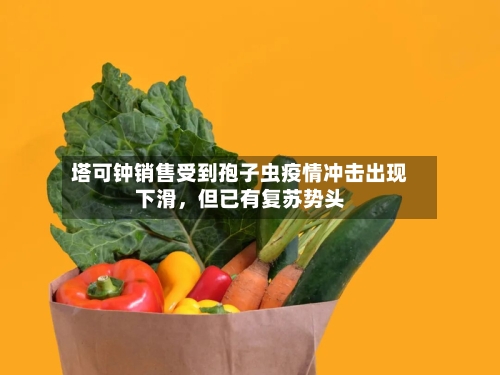 塔可钟销售受到孢子虫疫情冲击出现下滑，但已有复苏势头-第3张图片