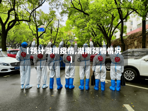 【预计湖南疫情,湖南预情情况】-第3张图片