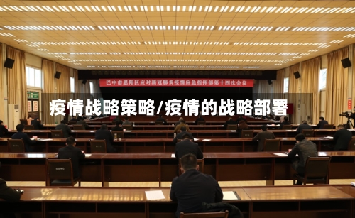 疫情战略策略/疫情的战略部署-第2张图片