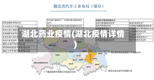 湖北药业疫情(湖北疫情详情)-第2张图片
