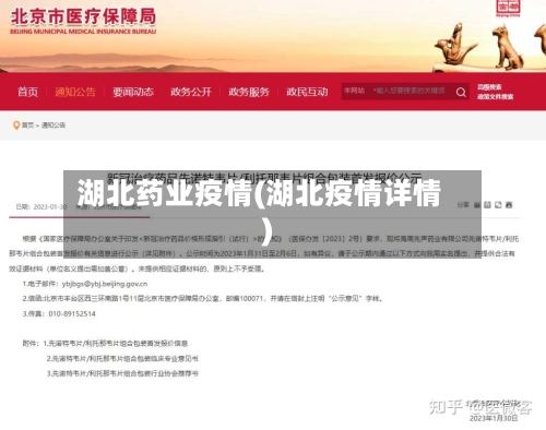 湖北药业疫情(湖北疫情详情)
