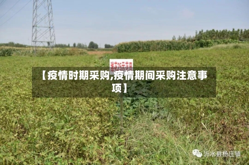 【疫情时期采购,疫情期间采购注意事项】