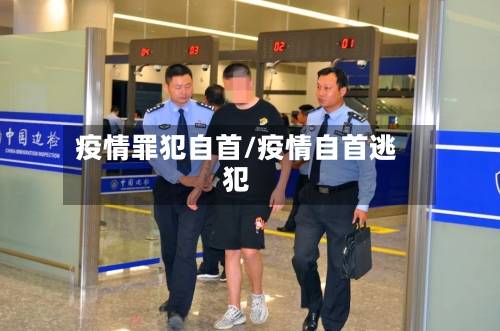 疫情罪犯自首/疫情自首逃犯