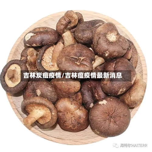 吉林炭疽疫情/吉林瘟疫情最新消息