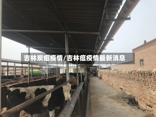 吉林炭疽疫情/吉林瘟疫情最新消息-第2张图片