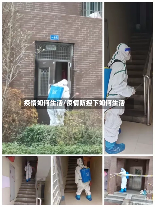 疫情如何生活/疫情防控下如何生活-第2张图片