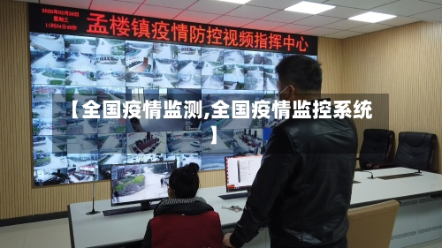 【全国疫情监测,全国疫情监控系统】-第2张图片