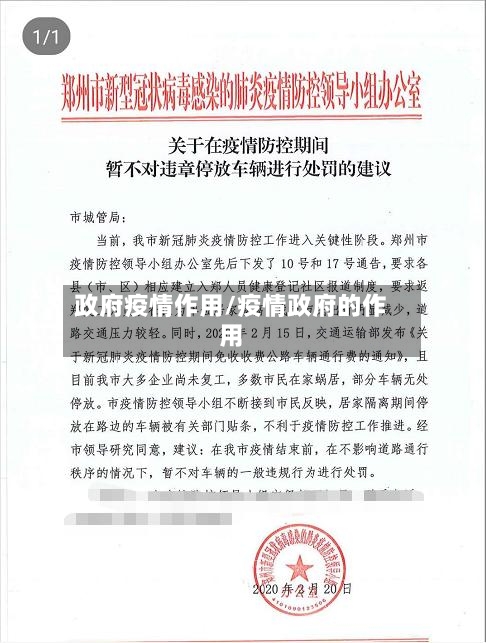 政府疫情作用/疫情政府的作用-第2张图片
