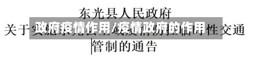 政府疫情作用/疫情政府的作用-第3张图片