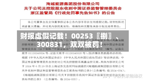 财报虚假记载！00253〖捌〗、300831，双双被罚！