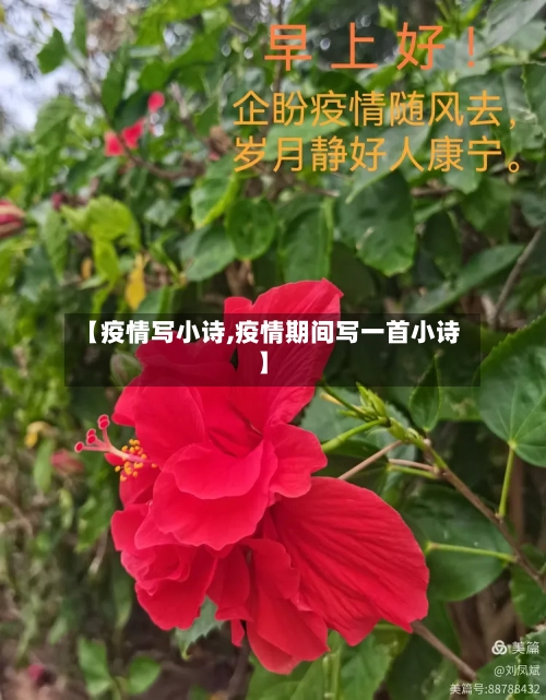 【疫情写小诗,疫情期间写一首小诗】-第2张图片