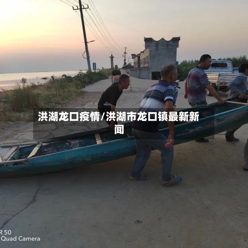 洪湖龙口疫情/洪湖市龙口镇最新新闻-第2张图片