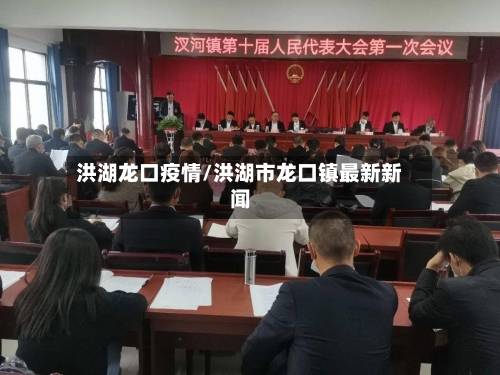 洪湖龙口疫情/洪湖市龙口镇最新新闻-第3张图片