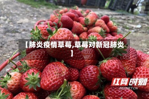 【肺炎疫情草莓,草莓对新冠肺炎】