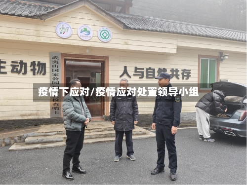 疫情下应对/疫情应对处置领导小组-第2张图片