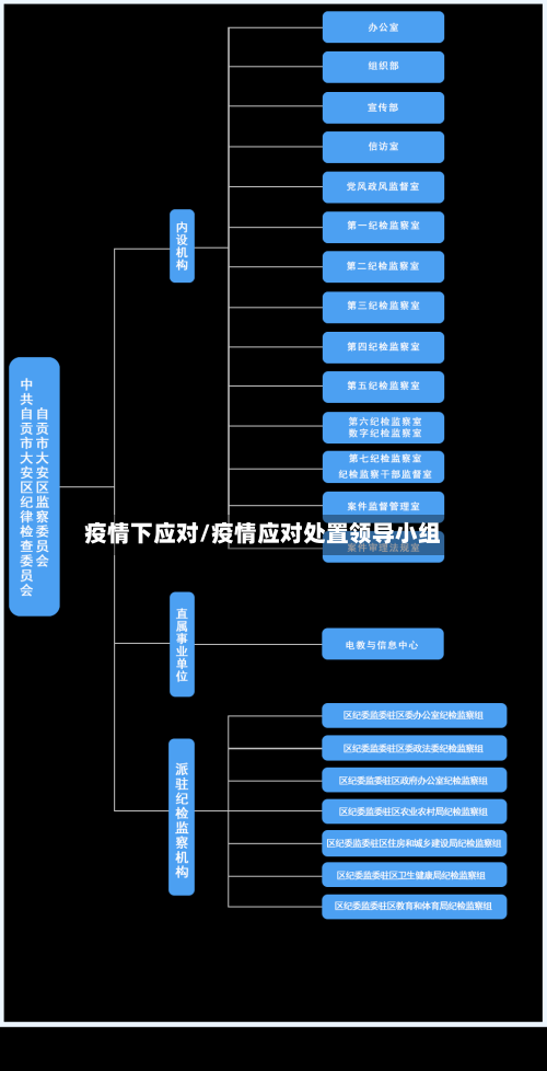 疫情下应对/疫情应对处置领导小组